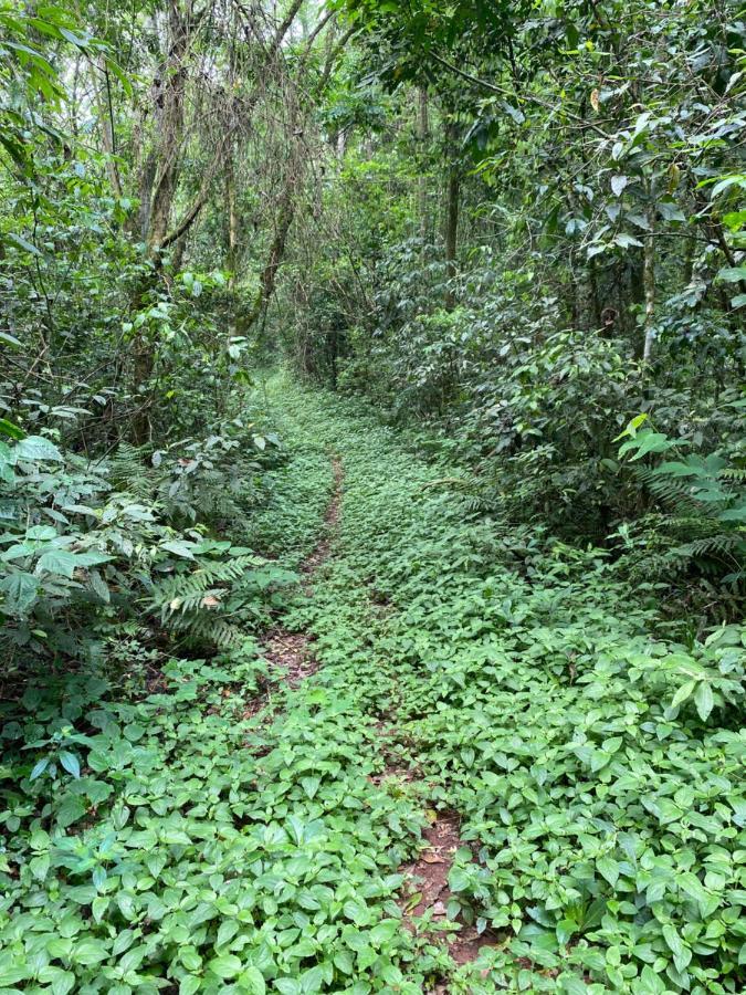 Reserva La Mision Mocona - Solo Adultos Saltos del Moconá 외부 사진
